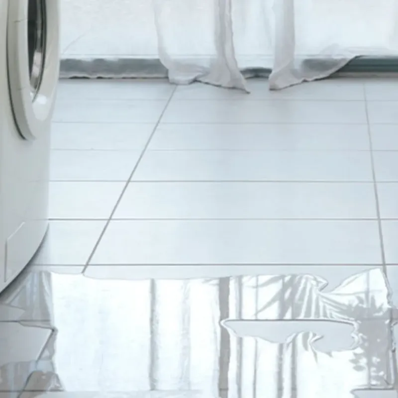Appliance Leak Cleanup in Houston County, GA