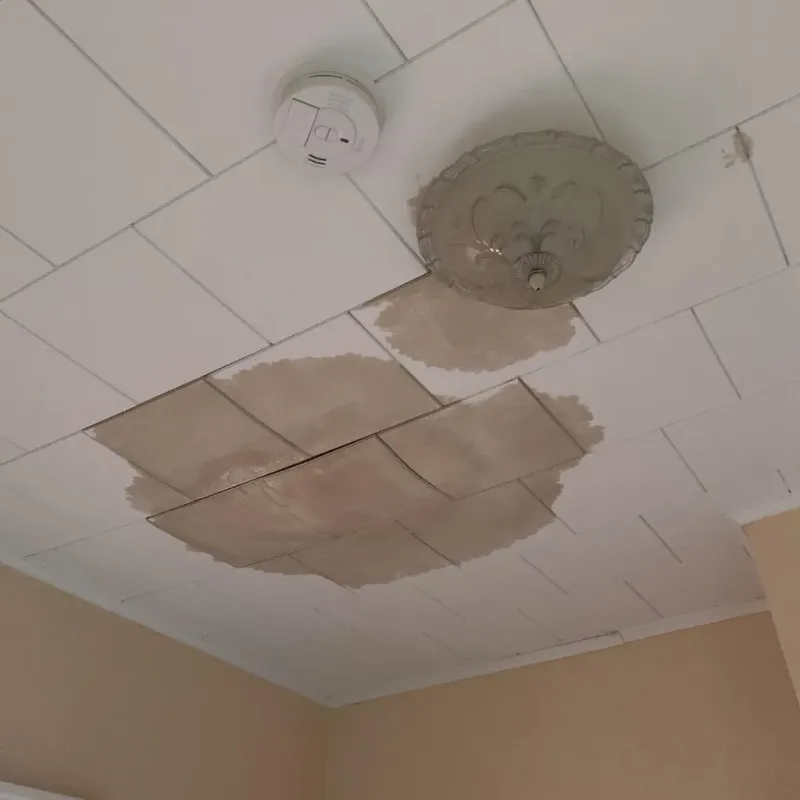 Ceiling Water Damage Repair in Houston County, GA