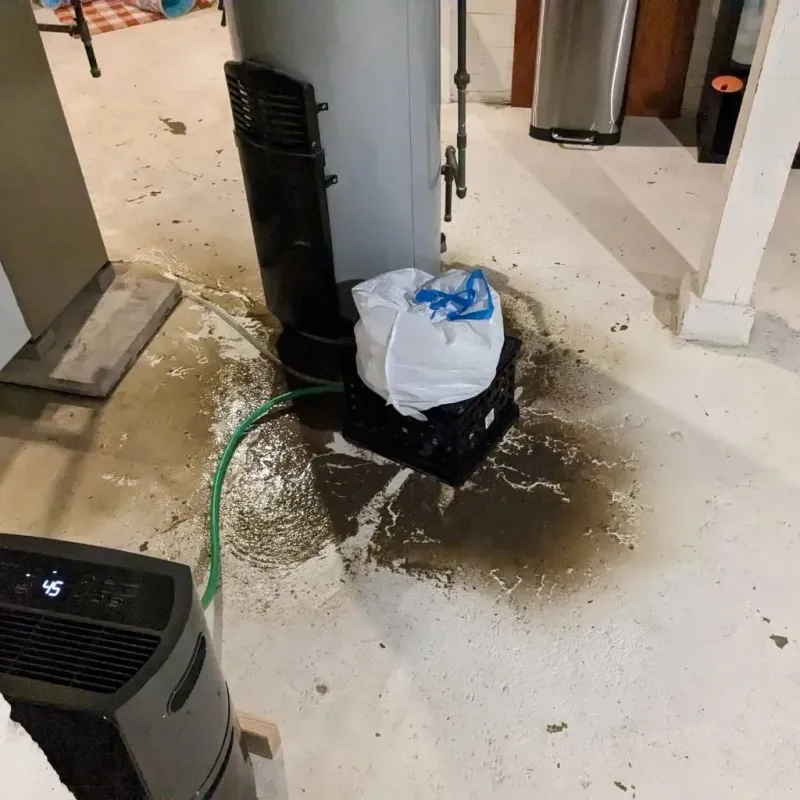 Sewage Backup Cleanup Service in Houston County, GA